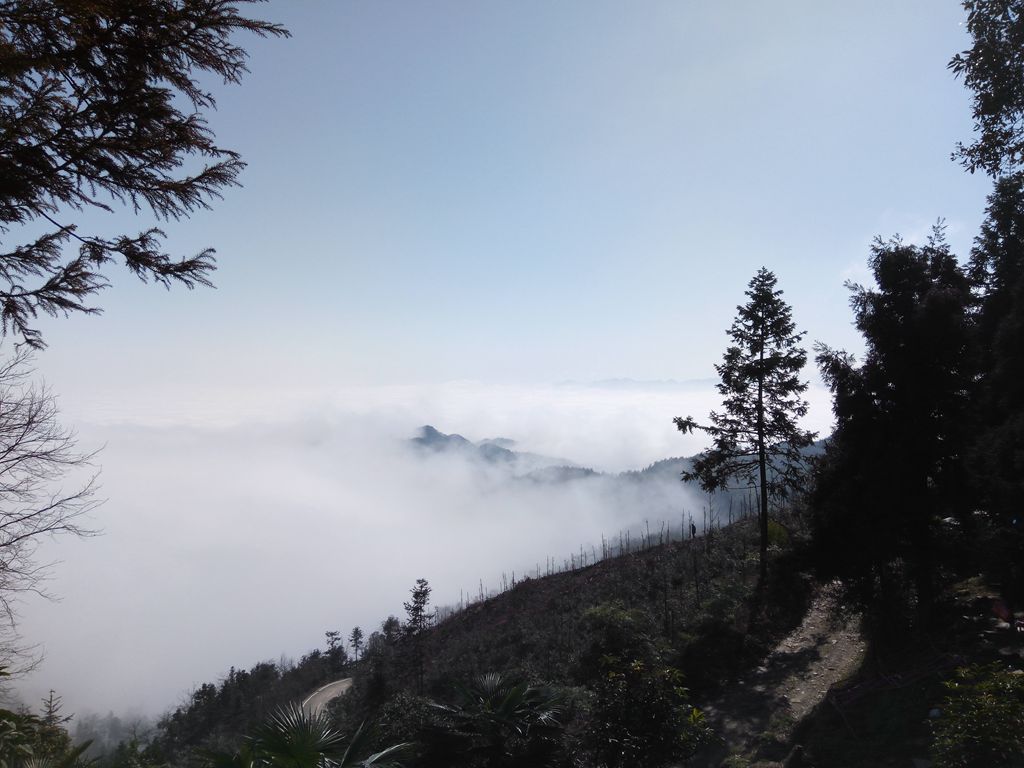 新年伊始-登山减脂，大雾深山行之【浮丘圣地】-万荀网