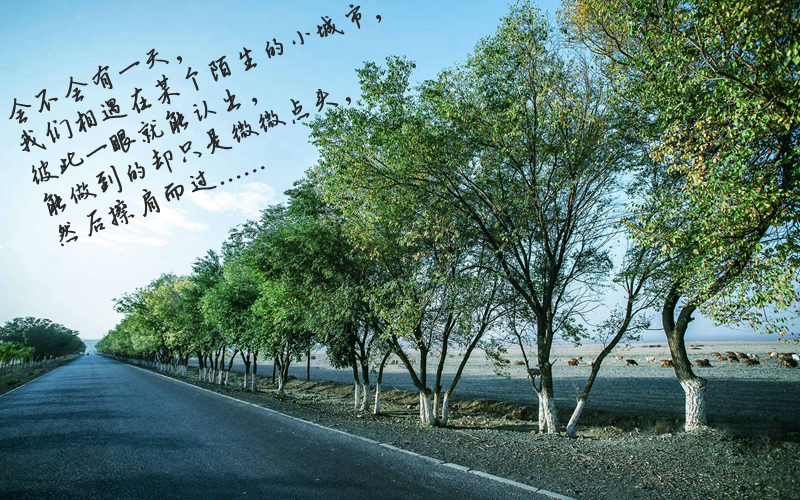 图片[4]-有时候一个真正关心你的人可能都不怎么和你联系-万荀网
