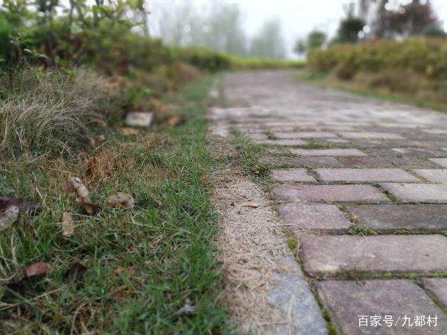 图片[6]-活到一定年纪，你想起过那些容易被你忽略但又并不在意的事吗-万荀网