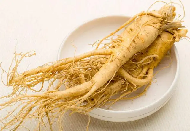 大补元气，复脉固脱，补脾益肺，生津养血， 安神益智。