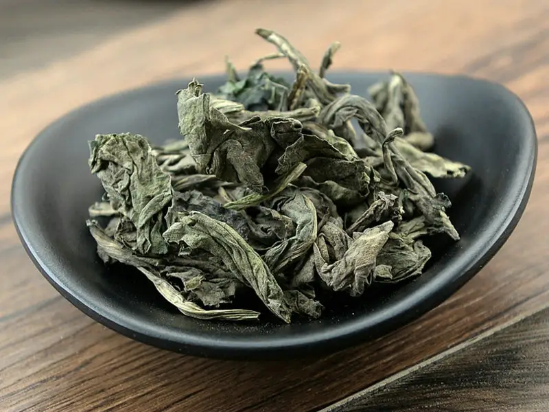清热解毒,凉血消斑,温病高热,神昏,发斑发疹,痄腮,喉痹,丹毒,痈肿