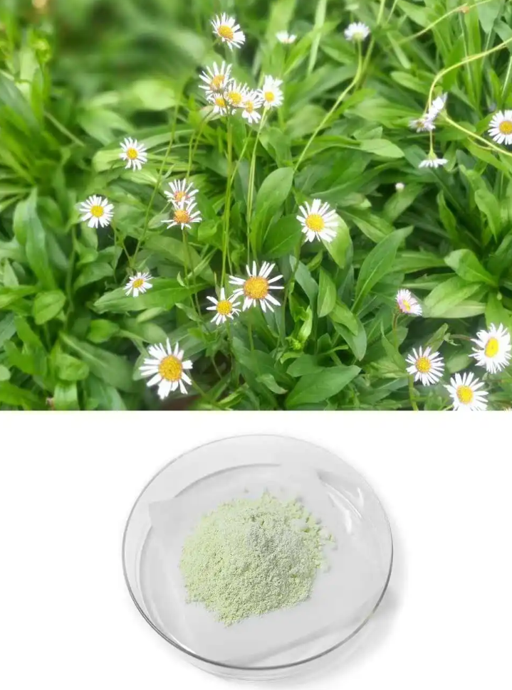 图片[1]-灯盏花素-万荀网