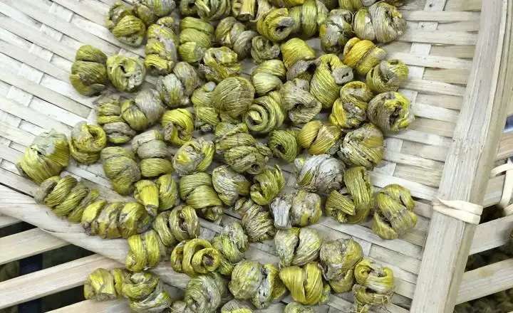 石斛-万荀网