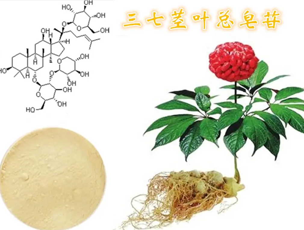 三七总皂苷-万荀网