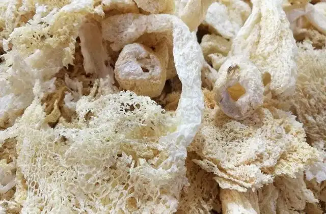 竹茹-万荀网