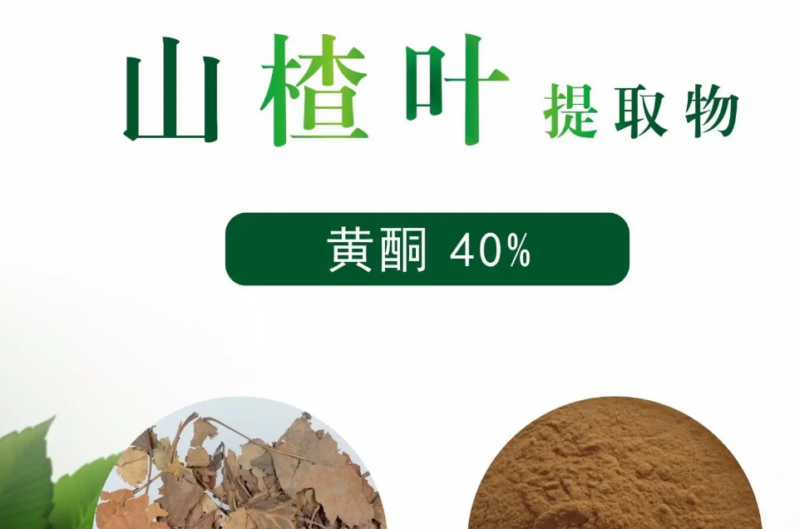 山楂叶提取物-万荀网