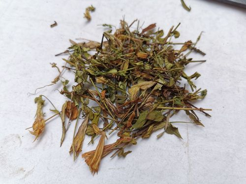 青叶胆-万荀网