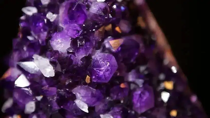 紫石英-万荀网