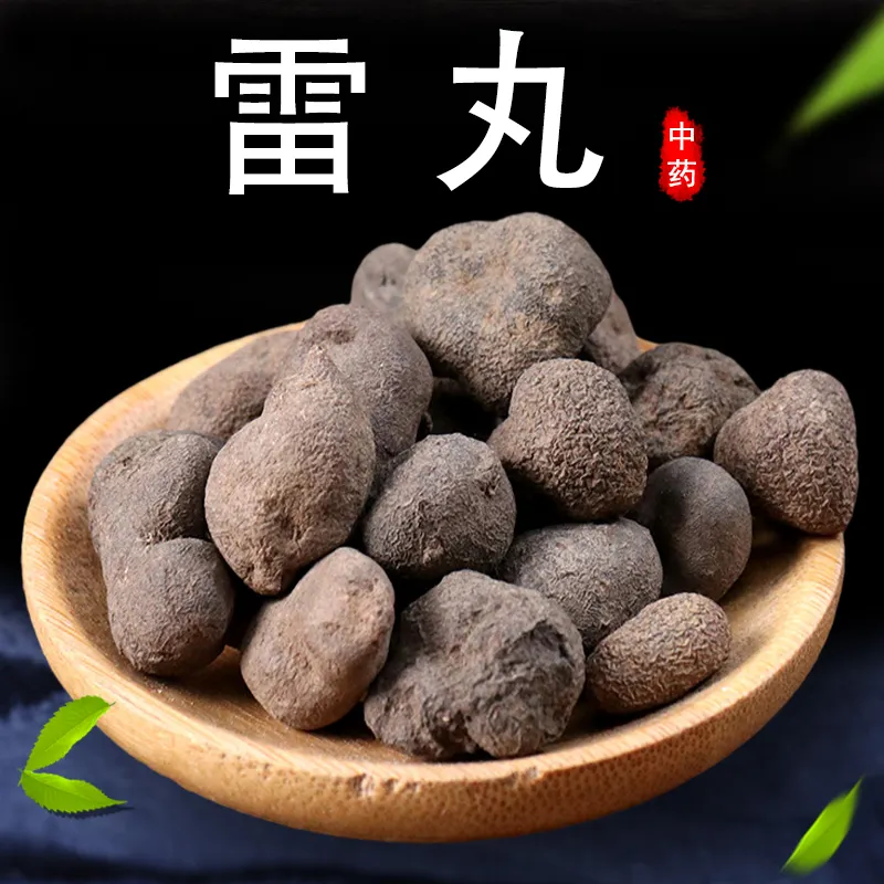 雷丸-万荀网