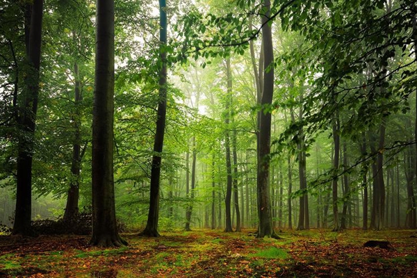 真正爱你的人是这样的-万荀网