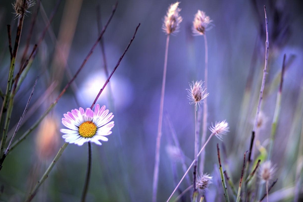 电商外贸商城平台搭建推荐的网站程序-万荀网