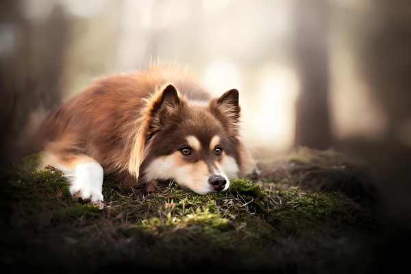 职场的12大言论-万荀网